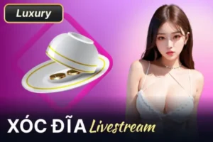 Hong88 | Nhà Cái Cá Cược Trực Tuyến Đẳng Cấp Uy Tín 16 Xóc dĩa livestream